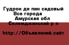 Гудрон де пин садовый - Все города  »    . Амурская обл.,Селемджинский р-н